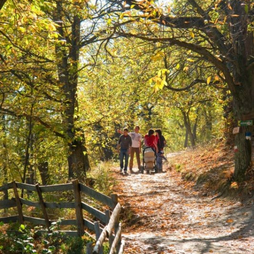 Den Keschtnweg entdecken und bei den Bauernhöfen zum "Törggelen einkehren"